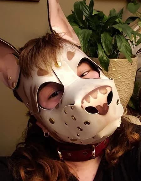 puppycopper profile photo